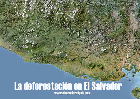 La deforestación en El Salvador