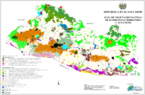 Mapa de vegetación en El Salvador